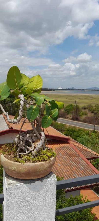 Lake Edge Resort Anuradhapura Eksteriør billede
